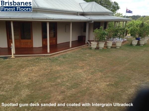 Spotted gum deck, sanded and coated with Intergrain Ultradeck